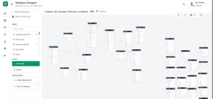 Master Your Data with the Visual Schema Designer